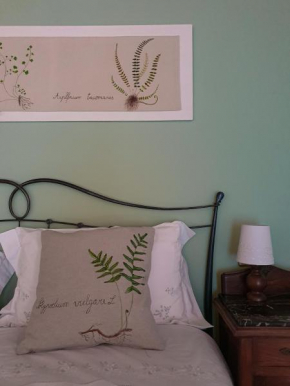 Pietra d'Acqua B&B in the woods Buti